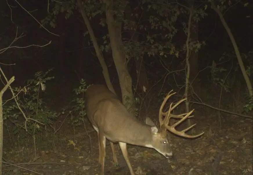 0 PETERSON ROAD, Gleason, WI 54435 - Image #2