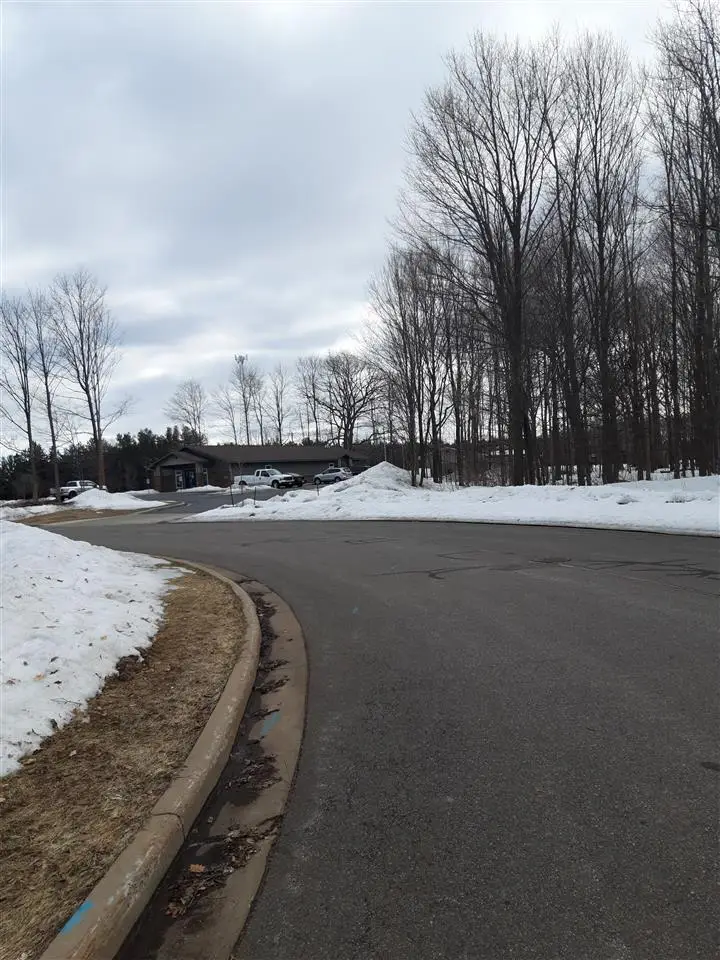 000 AMIR DRIVE #Amir Drive, Weston, WI 54474 - Image #3