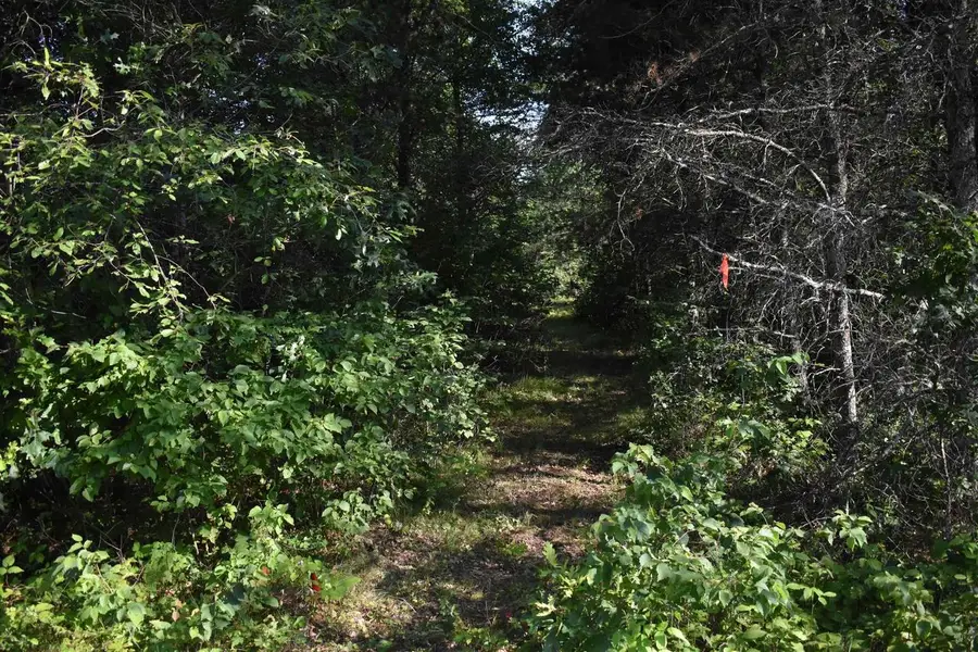 Lot 25 SOUTHVIEW DRIVE, Necedah, WI 54646 - Image #3