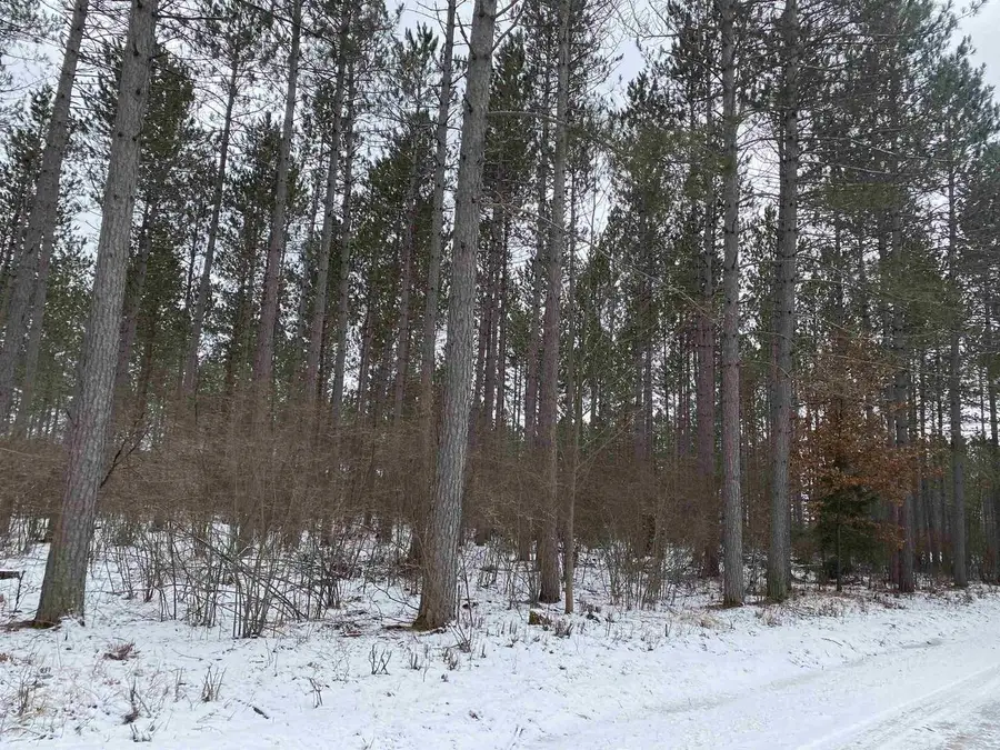 ON RIVER ROAD WEST, Tomahawk, WI 54487 - Image #2
