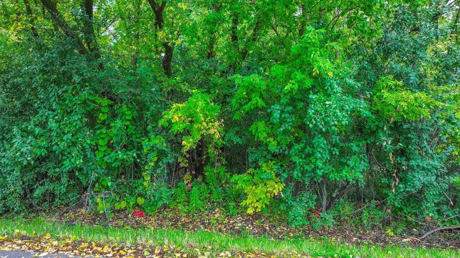 0 E DEPOT STREET, Marshfield, WI 54449 - Image #3