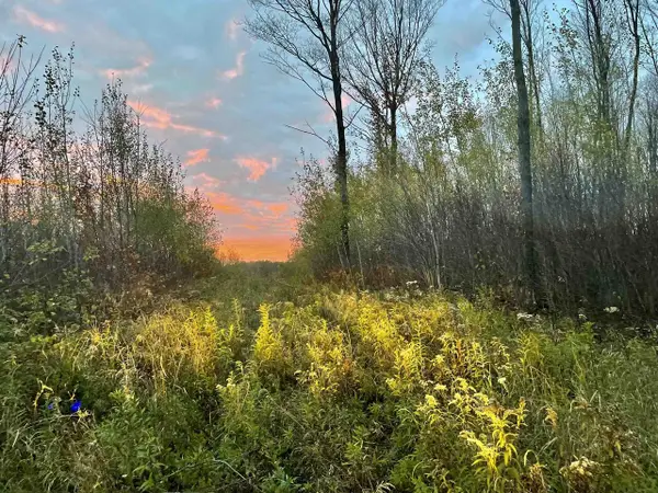 ON MUSSER DRIVE, Phillips, WI 54555