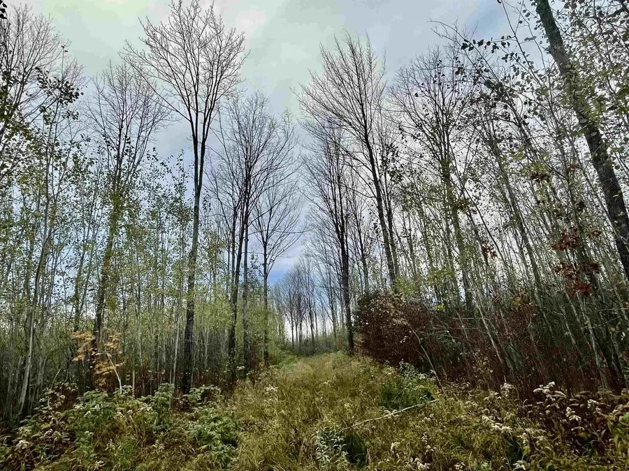 ON MUSSER DRIVE, Phillips, WI 54555 - Image #2