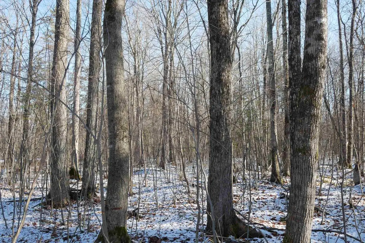 4.70 Acres US HIGHWAY 8, Prentice, WI 54556 - Image #1