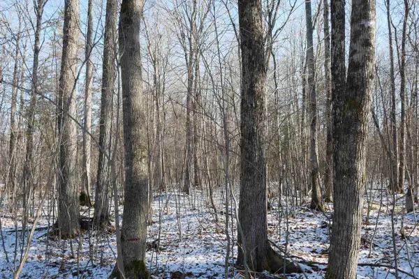 4.70 Acres US HIGHWAY 8, Prentice, WI 54556