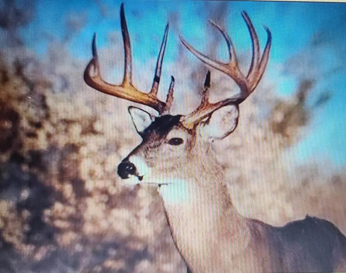 80 ACRES COUNTY ROAD I, Rosholt, WI 54473 - Image #1