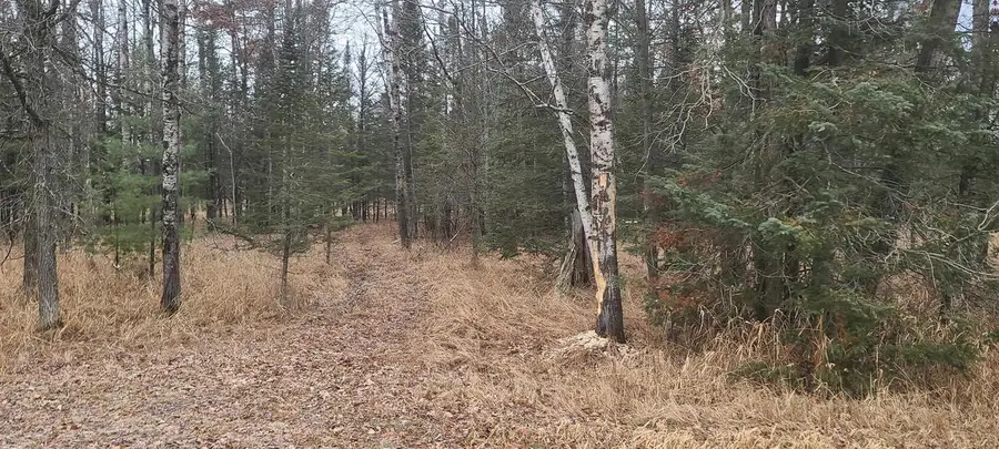 80 ACRES COUNTY ROAD I, Rosholt, WI 54473 - Image #3