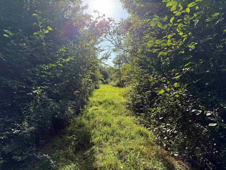 11013 W BURR OAK ROAD, Kennan, WI 54537 - Image #2