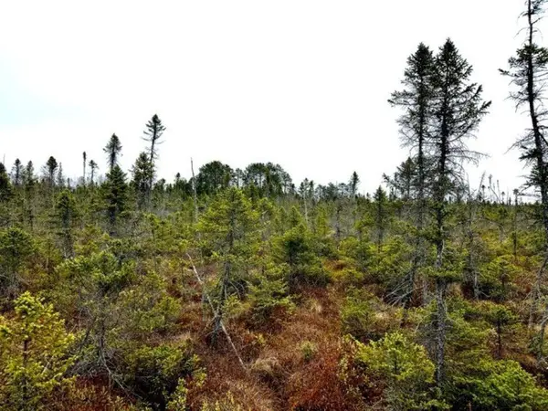 NO NAME ROAD, Phillips, WI 54555