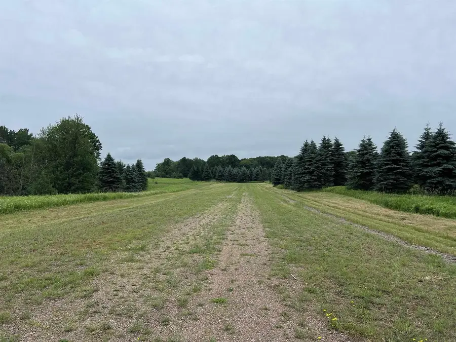 Lot 11 STATE HIGHWAY 45, Wittenberg, WI 54499 - Image #3