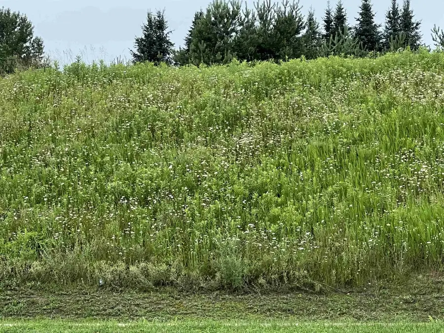 Lot 10 STATE HIGHWAY 45, Wittenberg, WI 54499 - Image #2