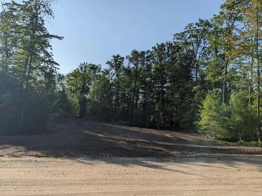 1109 Red Hawk Court #Lot #54, Biron, WI 54494 - Image #2