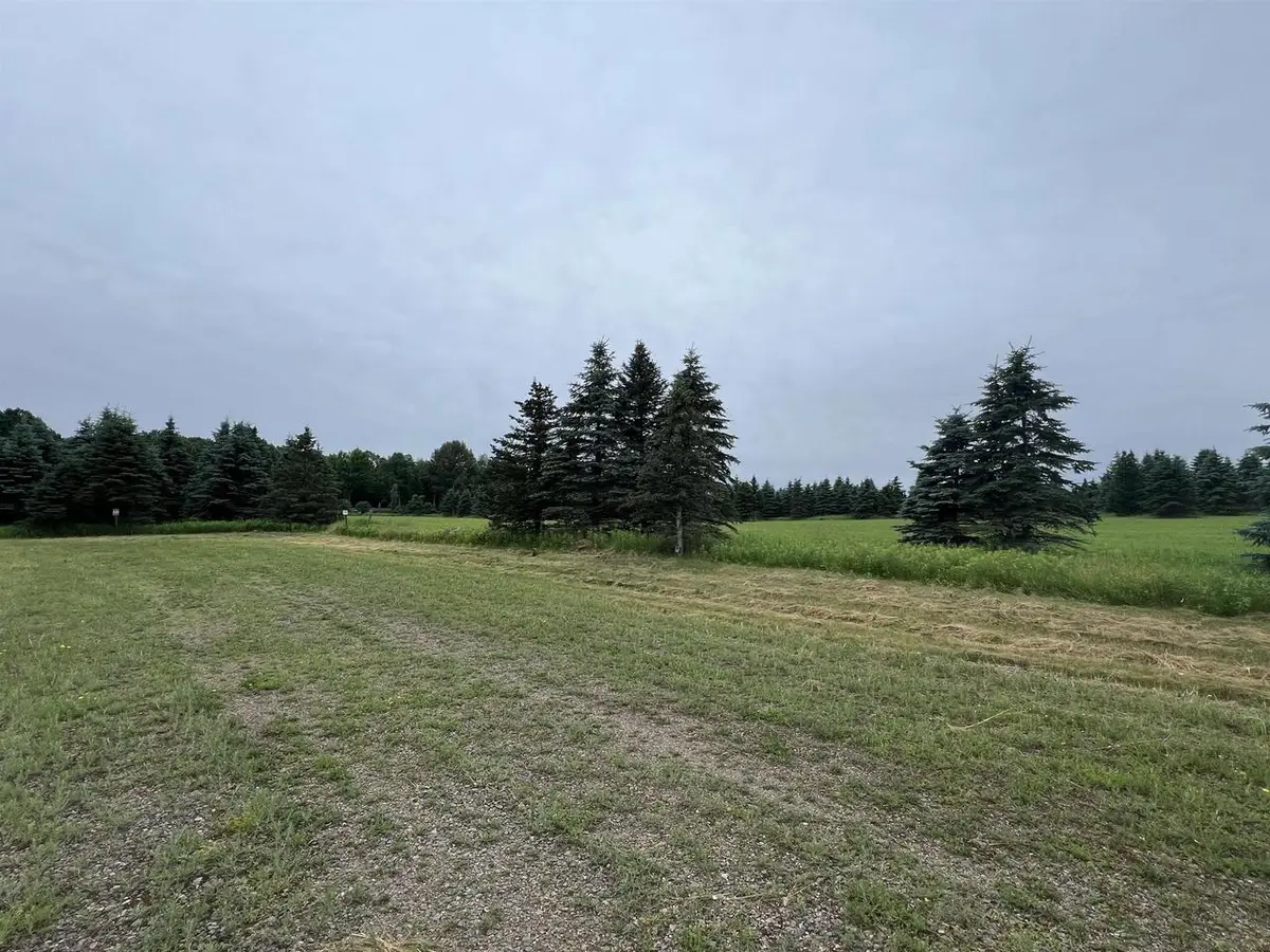 Lot 9 SUE ALAN DRIVE, Wittenberg, WI 54499 - Image #1