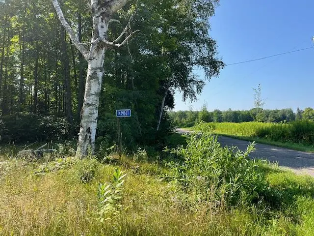 N9061 SCHMIDT DRIVE, Pickerel, WI 54465 - #3