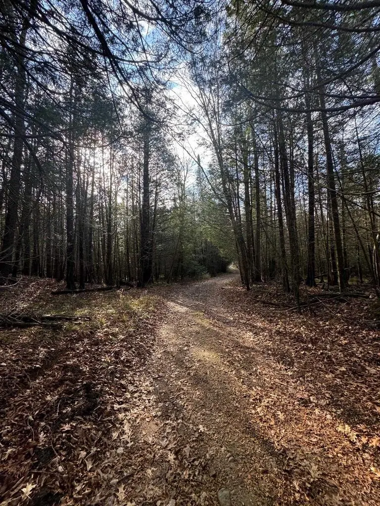 BIRNAMWOOD ROAD, Birnamwood, WI 54414 - Image #1