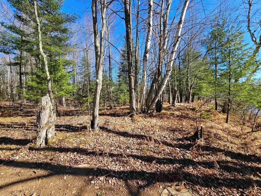 N10668 TRADER LANE, Tomahawk, WI 54487 - Image #3