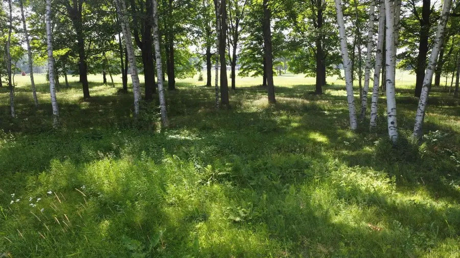 Lot 12 HUNTER CIRCLE, Antigo, WI 54409 - Image #2