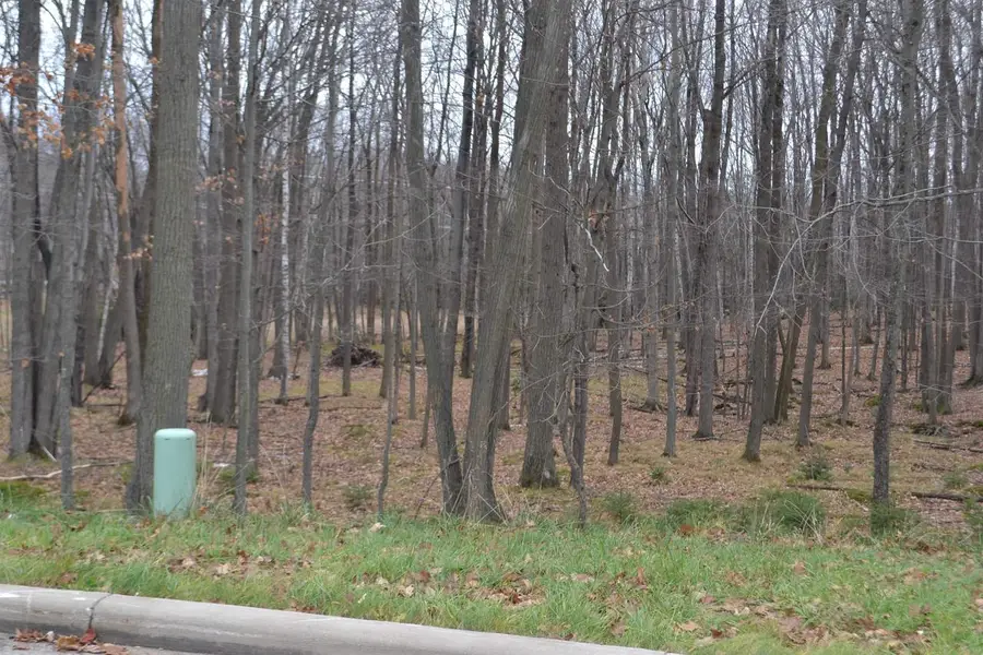 Lot #33 BUCK WOOD LANE, Wausau, WI 54401 - Image #2