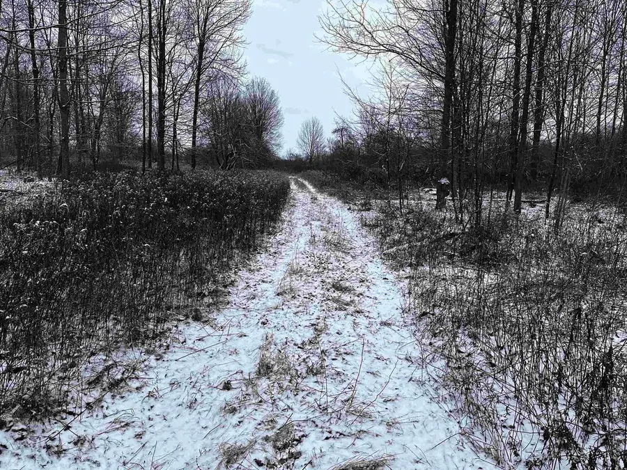 01 MATTHEW DRIVE, Birnamwood, WI 54414 - Image #3