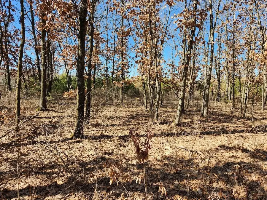 KOVAL ROAD, Lyndon Station, WI 53944 - Image #3