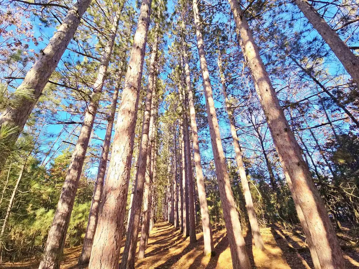 1989 8TH AVENUE, Friendship, WI 53934 - Image #1