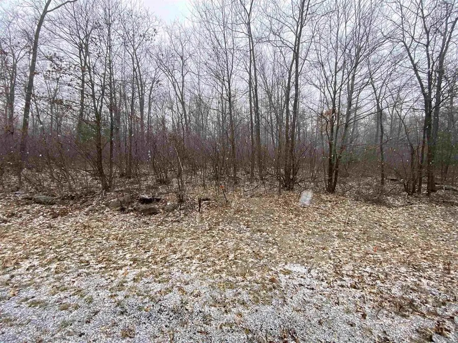 Lot 5 ACORN RIDGE ROAD, Mosinee, WI 54455 - Image #3