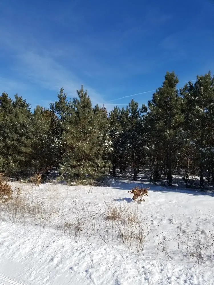 ON 13TH AVENUE #Meteor 8290-2, Nekoosa, WI 54457 - Image #2