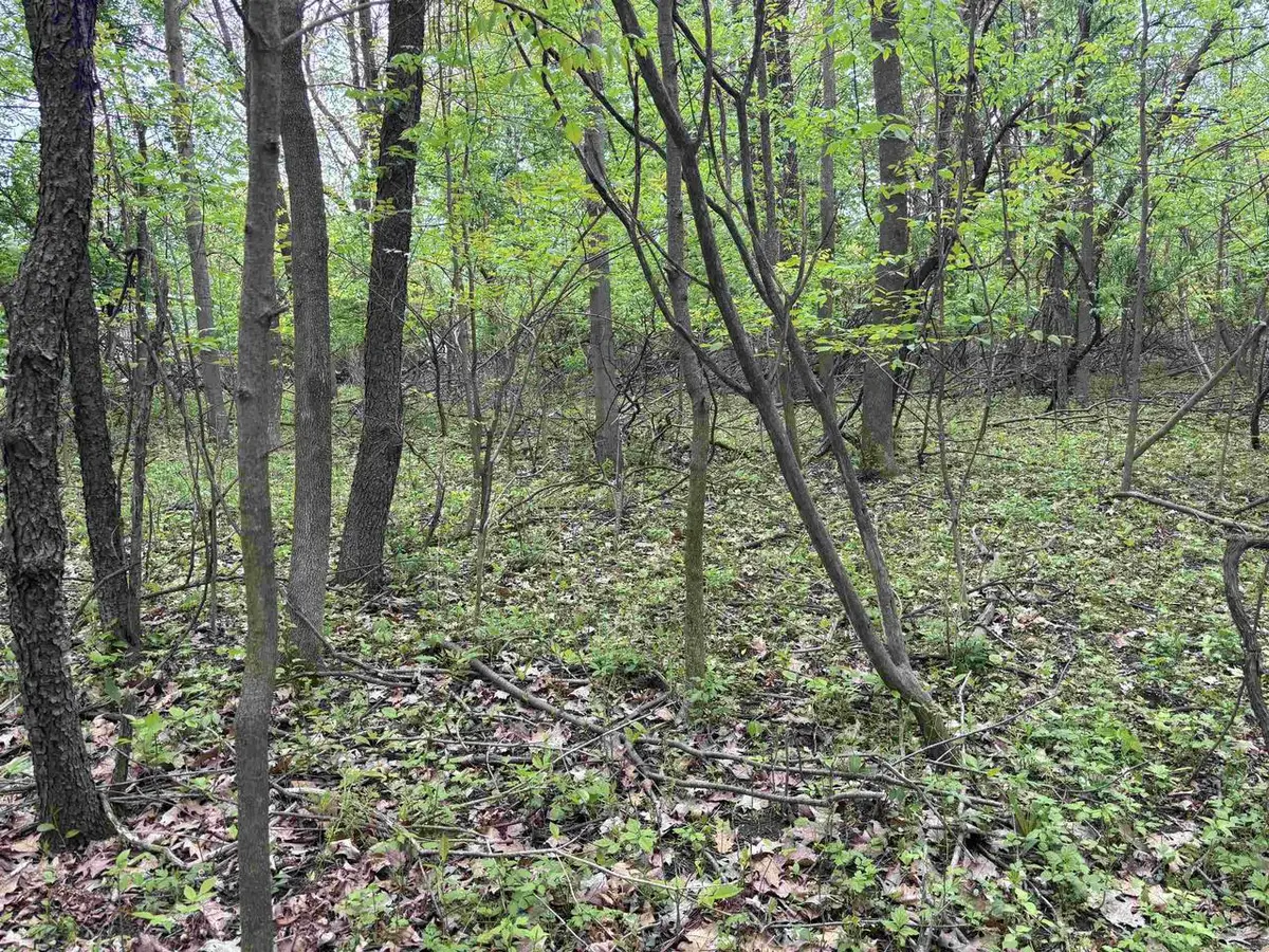 .85 acres LORREL STREET, Mosinee, WI 54455 - Image #1