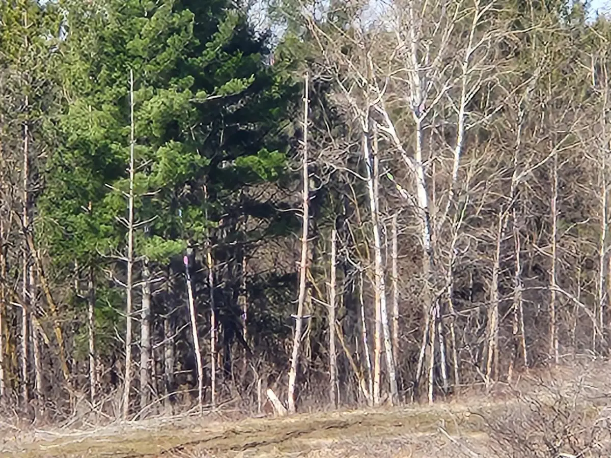 292ND STREET #034-1061-90-001, Springfield, WI 54027 - Image #1