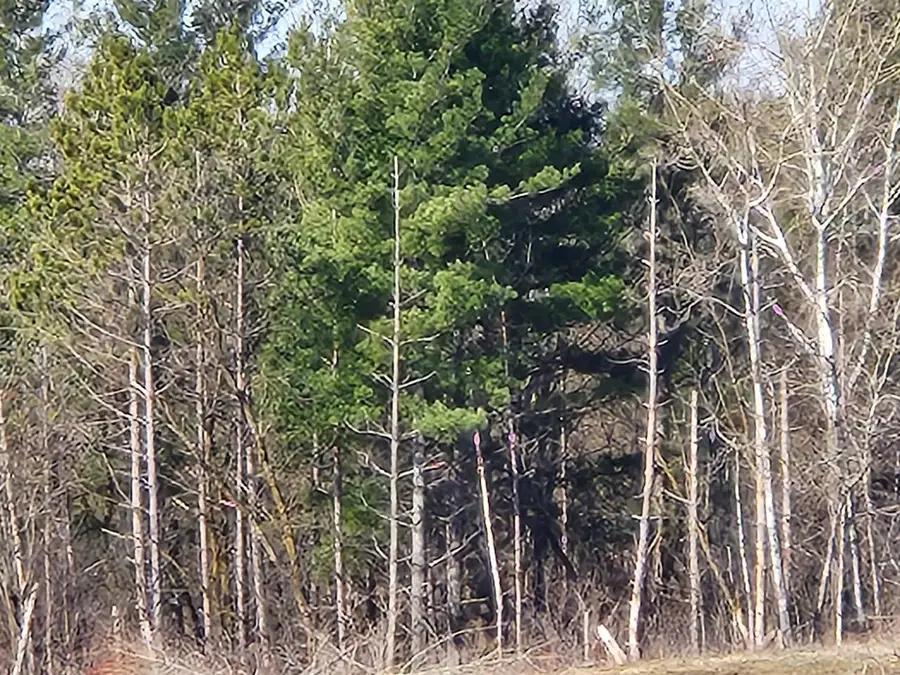 292ND STREET #034-1061-90-001, Springfield, WI 54027 - Image #2