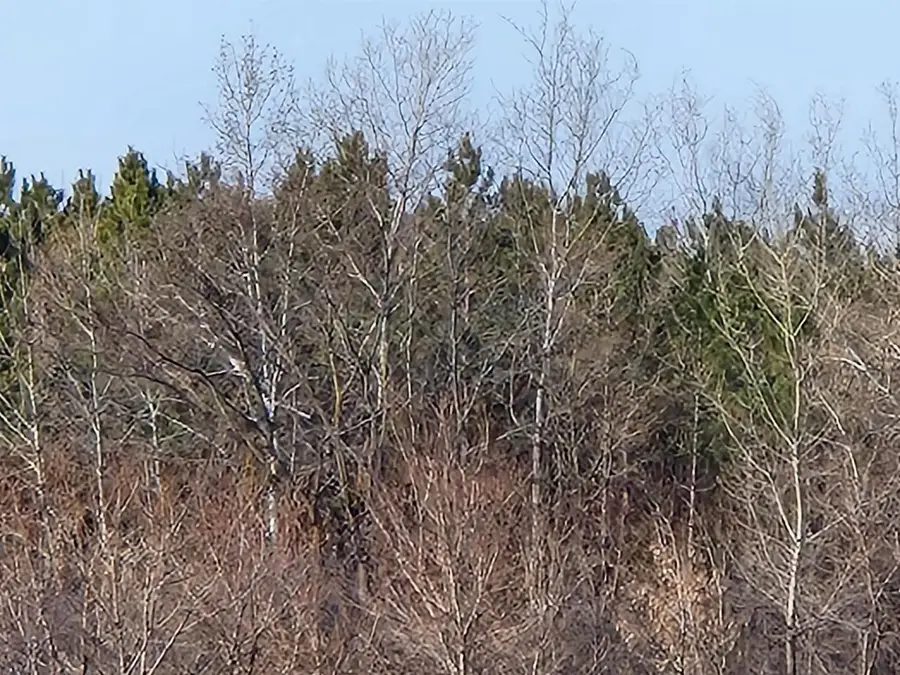 292ND STREET #034-1061-90-001, Springfield, WI 54027 - Image #3