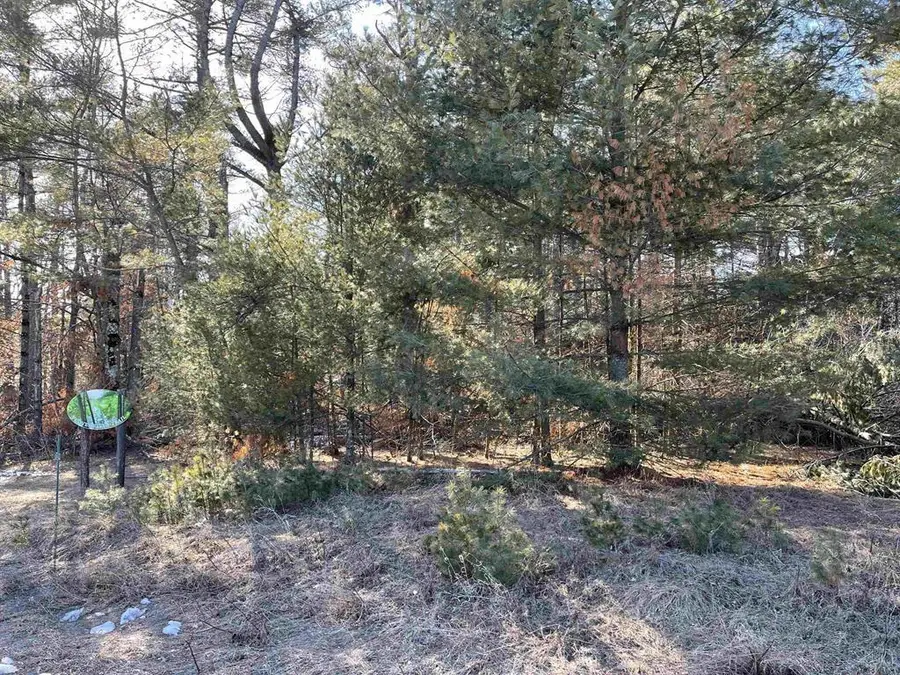 Lot 28 VERDE VILLA DRIVE, Hatley, WI 54440 - Image #3