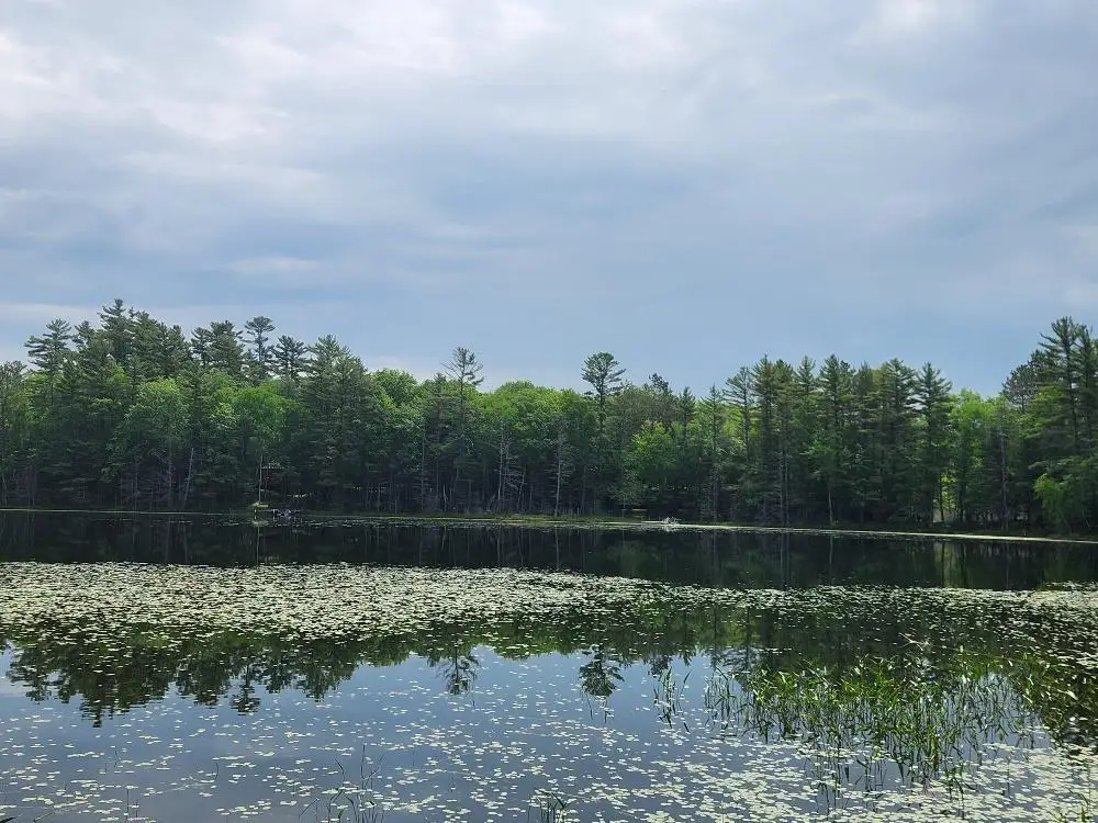 5912 W TWIN LAKE ROAD, Hazelhurst, WI 54531 - Image #1