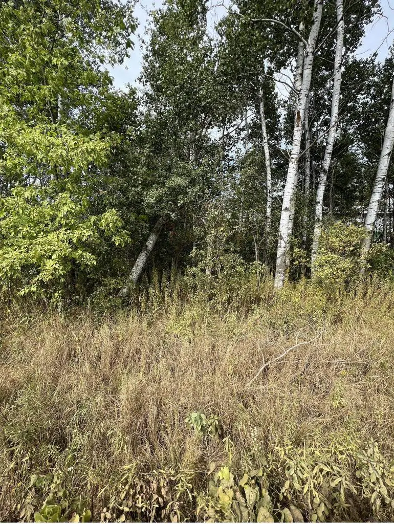 Lot One KRAUS STREET, Marshfield, WI 54449 - Image #1