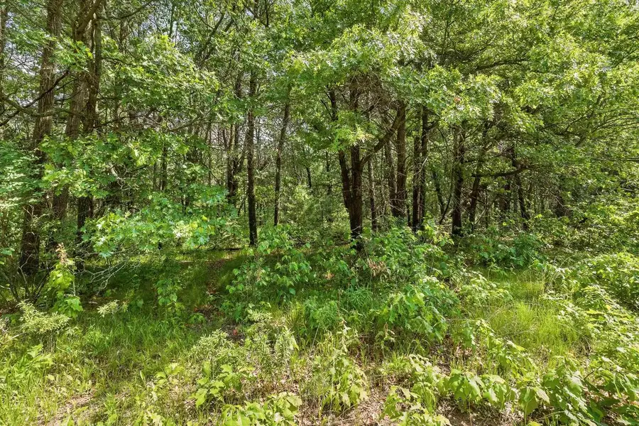 Lot 3 WALLACE PLACE, Stevens Point, WI 54481 - Image #3