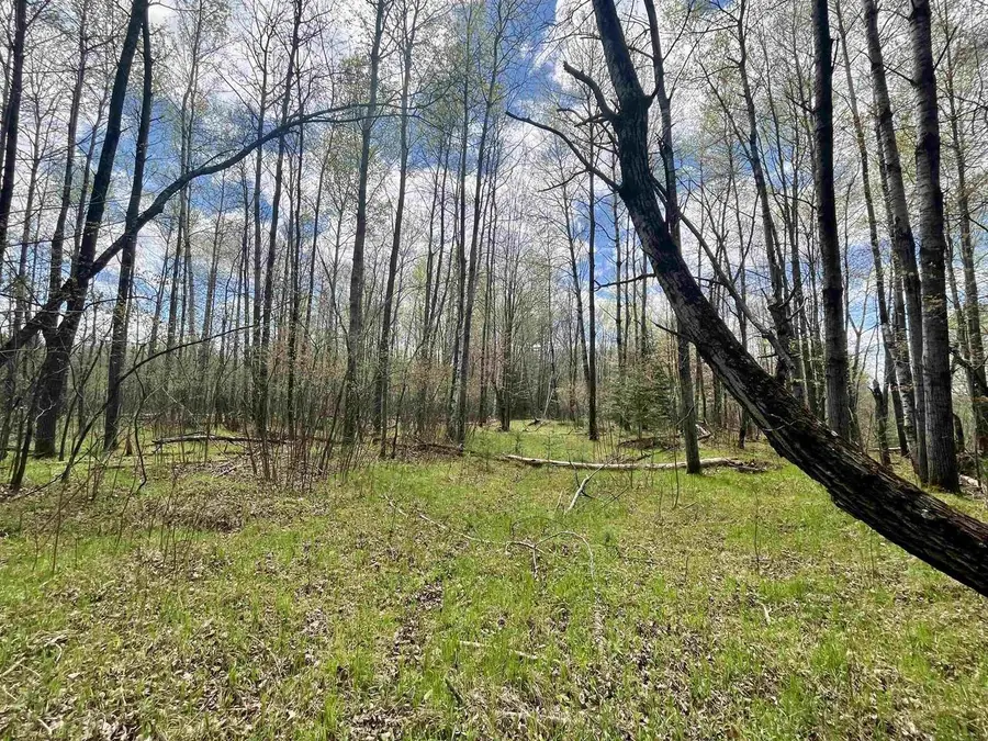 4.38 Ac On E SOO LAKE ROAD, Phillips, WI 54555 - Image #3