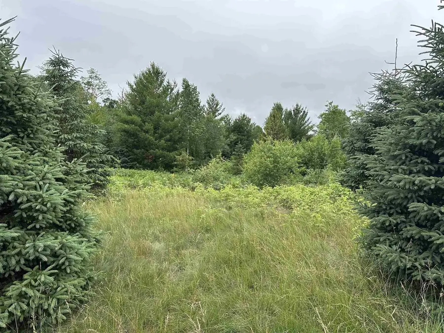 LOT 41 POINT TRAIL, Wisconsin Rapids, WI 54494 - Image #2