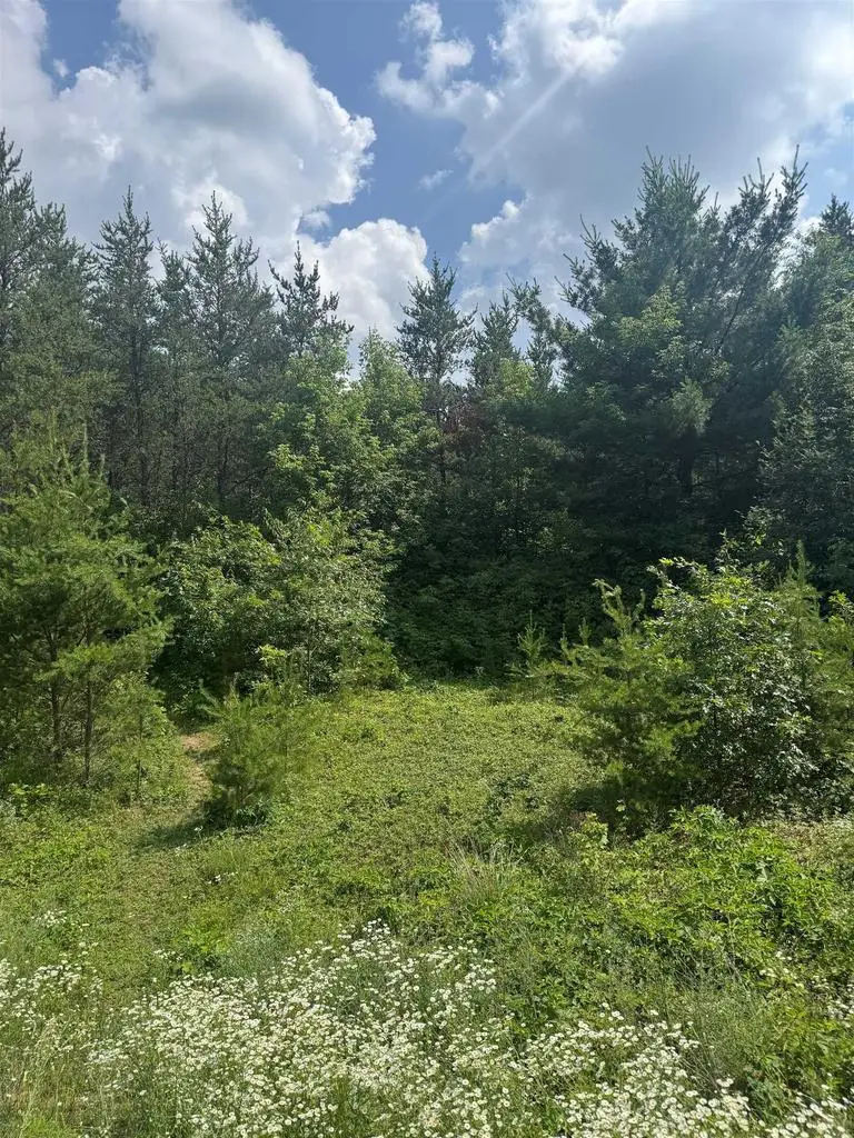 Lot 31 RED TAIL HAWK DRIVE, Stevens Point, WI 54482 - Image #1