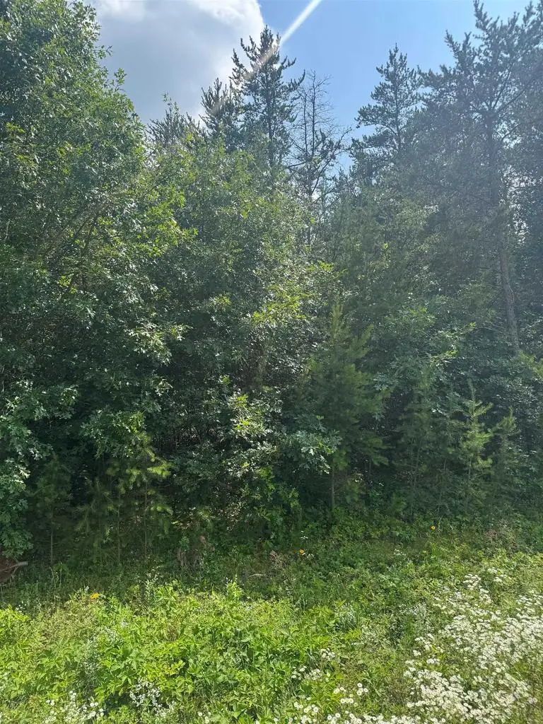Lot 31 RED TAIL HAWK DRIVE, Stevens Point, WI 54482 - Image #2