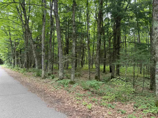 25 A On BEARSKULL ROAD, Park Falls, WI 54552