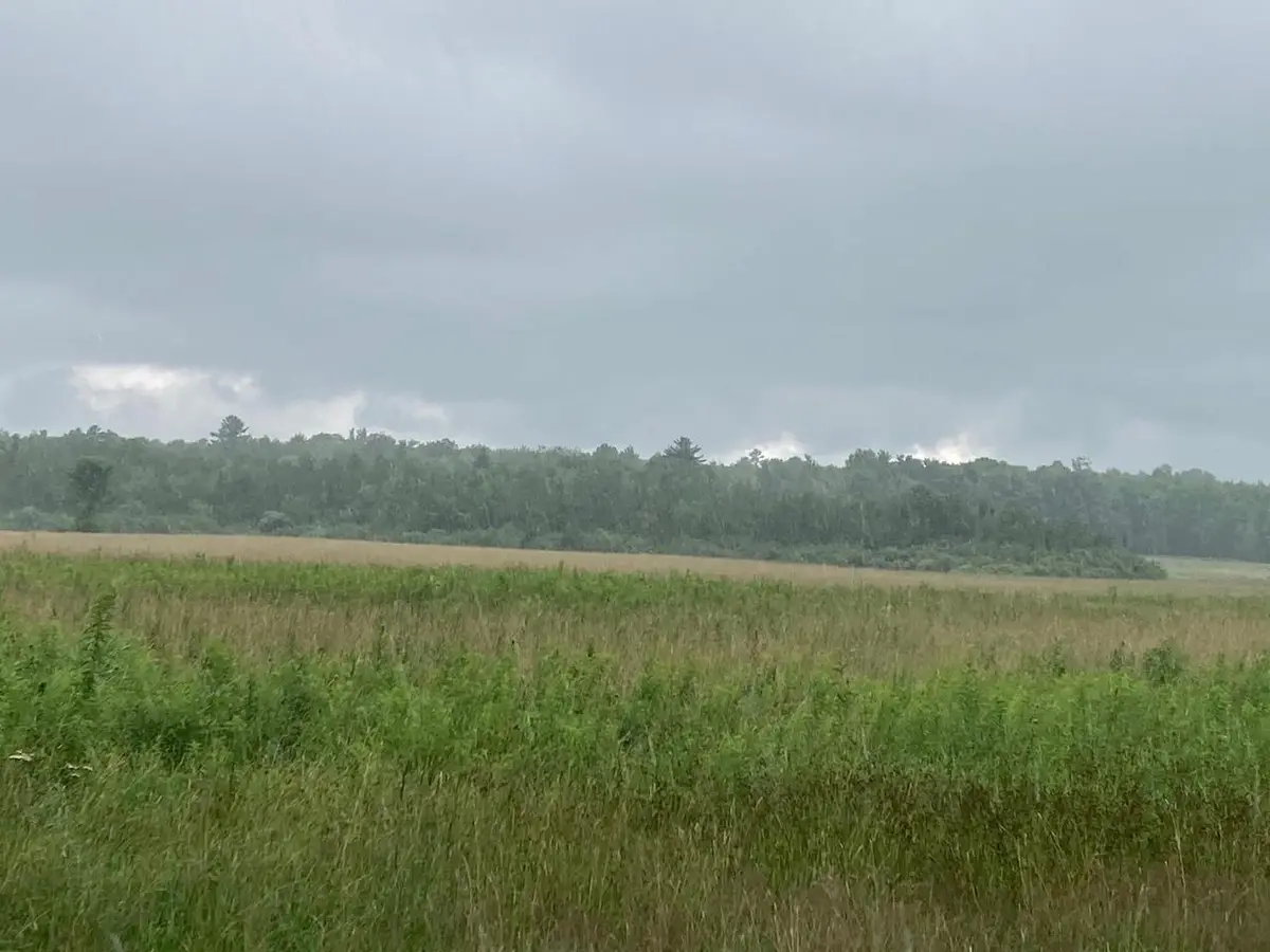 125.87 Acres JOHNS LANE, Medford, WI 54451 - Image #1