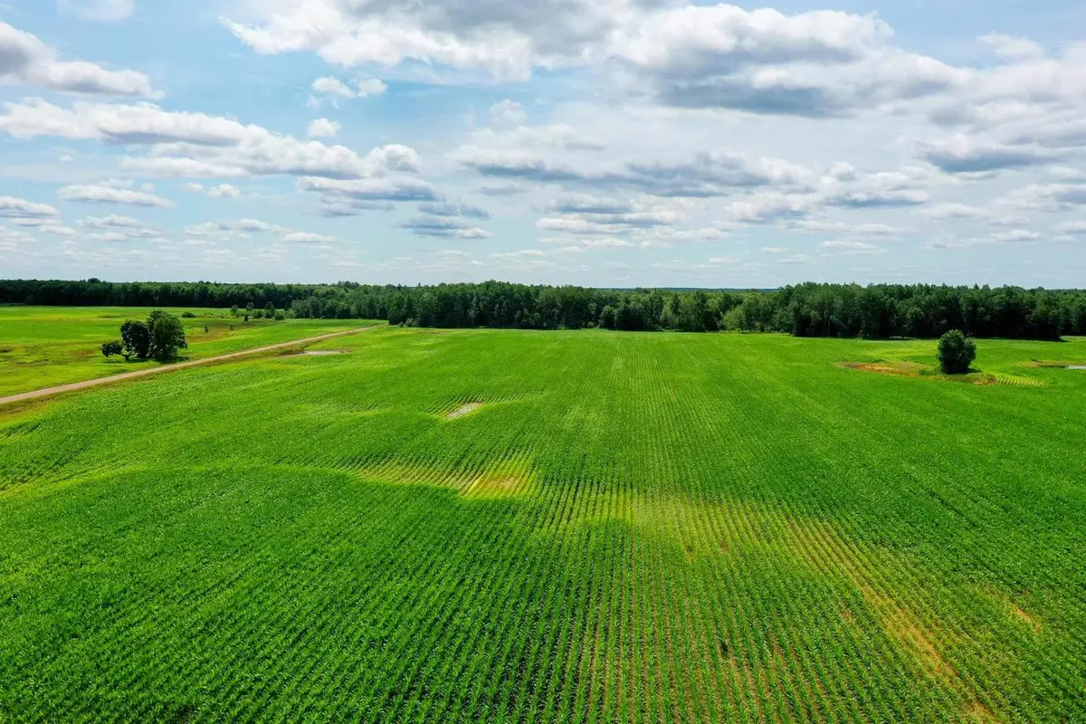 +/-196.61 Acres WIESE DRIVE, Rib Lake, WI 54470 - Image #1