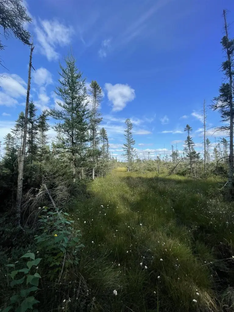 SWAMP ROAD, Tomahawk, WI 54487 - Image #1