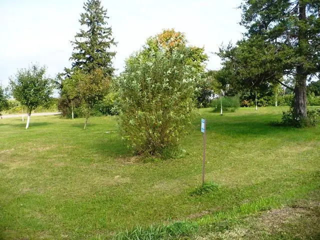 W4290 TIMBERLANE ROAD, Neillsville, WI 54456 - Image #2