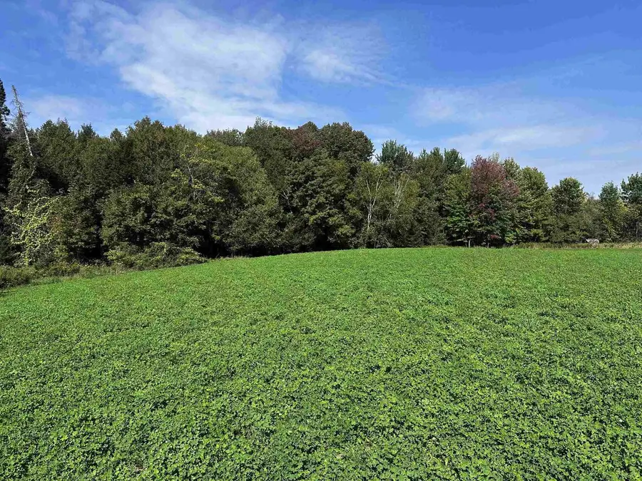 02 STATE HIGHWAY 45, Birnamwood, WI 54414 - Image #3