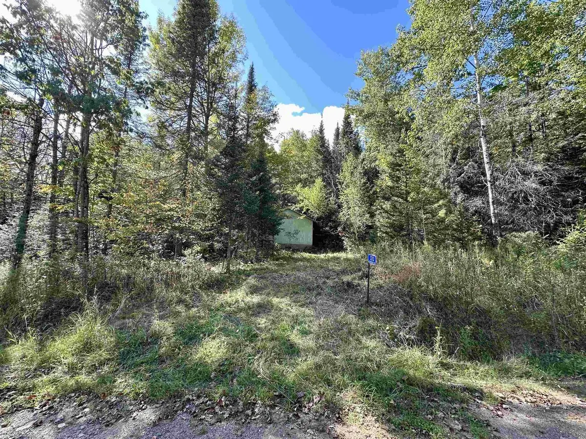 3313 JOHNSON ROAD, Crandon, WI 54520 - #1