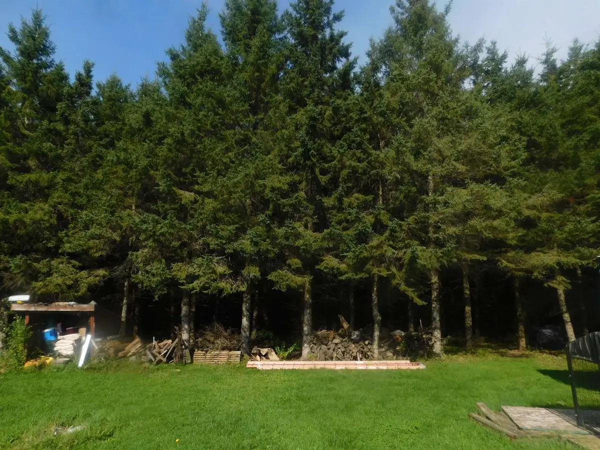 W8955 COUNTY ROAD M, Merrill, WI 54452 - #1