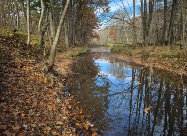 5106 ARPIN HANSEN ROAD, Vesper, WI 54489