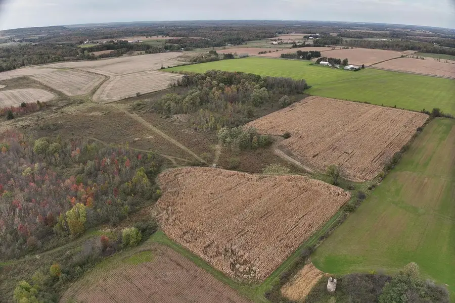 42.610 acres COUNTY ROAD O, Greenwood, WI 54437 - Image #2