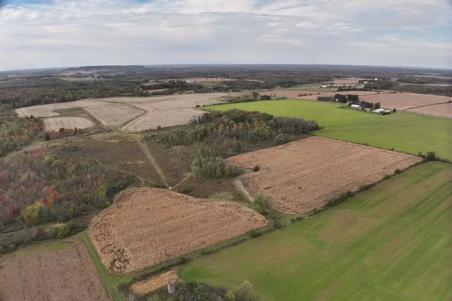 42.610 acres COUNTY ROAD O, Greenwood, WI 54437 - Image #3